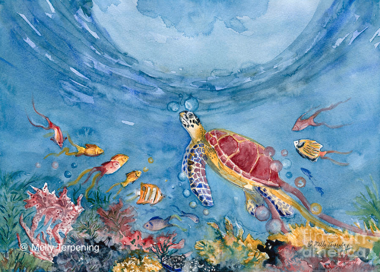 -'Going Up No 2'- melly-terpening.pixels.com/featured/going…
#watercolor #watercolorpainting #seaturtle #nurseryart