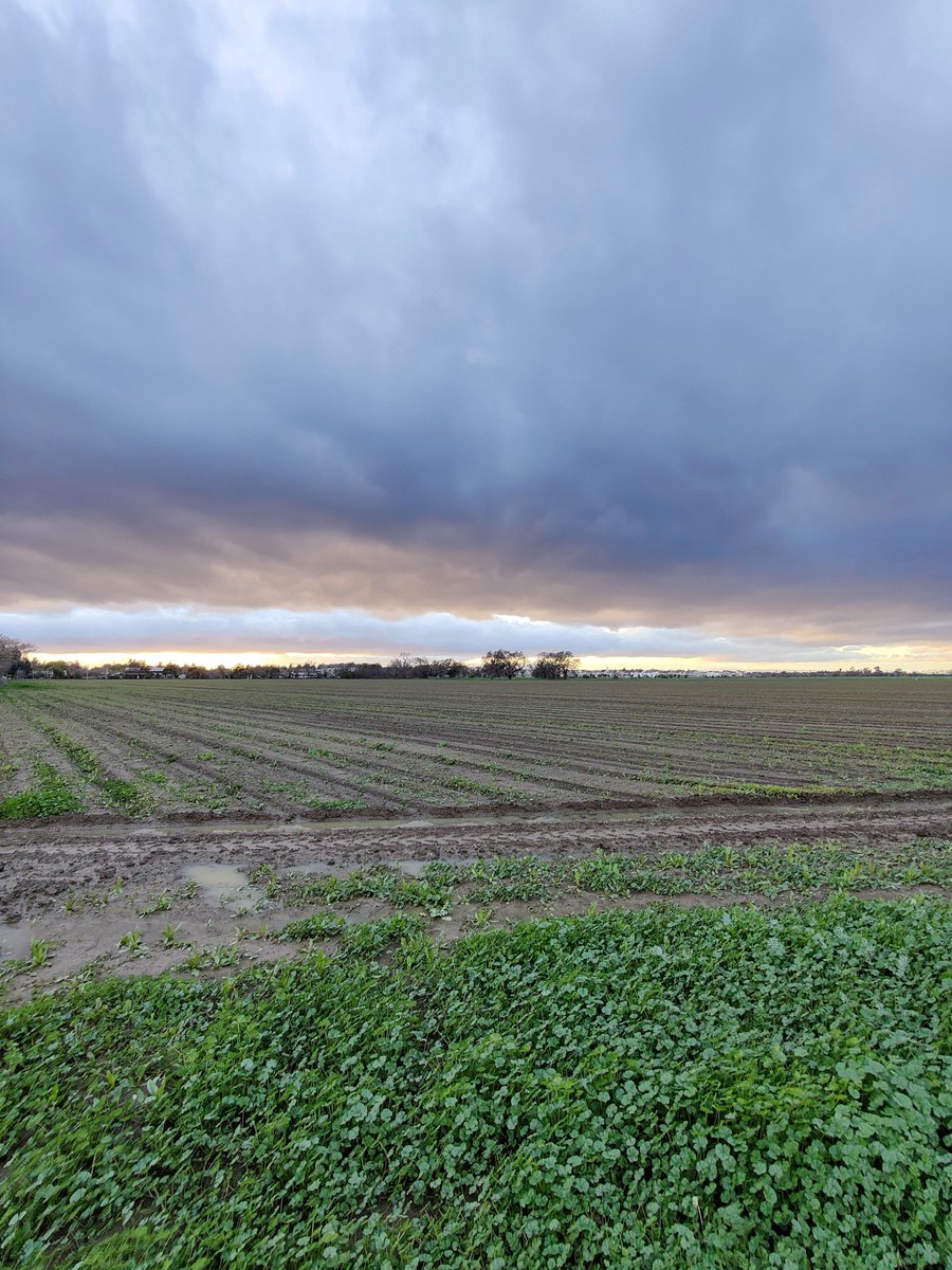 Metrics for evaluating climate smart technologies in agriculture are broken. #Pesticides’ #carbon footprint is massively underestimated. We need better #metrics for #innovative #technologies.  buff.ly/3wfFtQV
#climatechange #biopesticides #biodiversity #climateresiliance