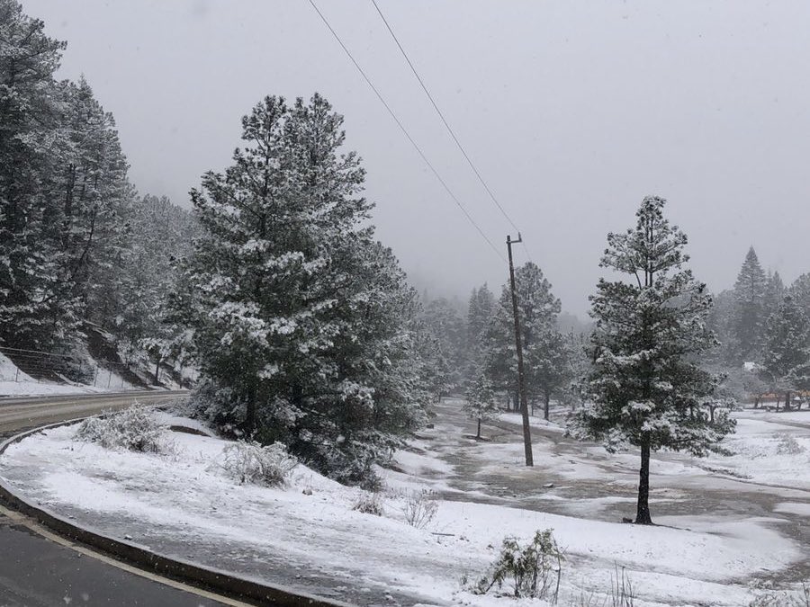 nSaltillo's tweet photo. Se pinta de blanco Cañón Los Oyameles ante el Frente Frío N 35

Arteaga, Coahuila - La mañana de este sábado el cañón de Los Oyameles se pintó de blanco, luego de que se registrara nieve y aguanieve durante la presencia del frente frío número 35 que mantiene los cero grados centígrados en la zona. 

De acuerdo a la Dirección de Protección Civil de Arteaga, fue desde las primeras horas del día cuando se registró aguanieve en el cañón y otras partes altas de la Sierra, pronosticado por parte del Servicio Meteorológico Nacional.