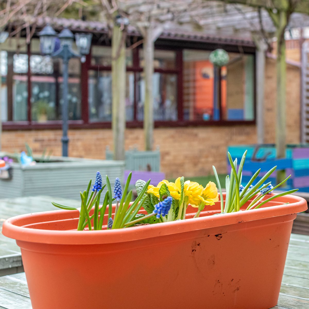 Last Friday, we had our monthly #GrowingSupport session @Brunelcare's Deerhurst Care Home, during which we created apple bird feeders and planted spring bulbs and bedding in troughs. It was great to see so much concentration! 🌱🍏