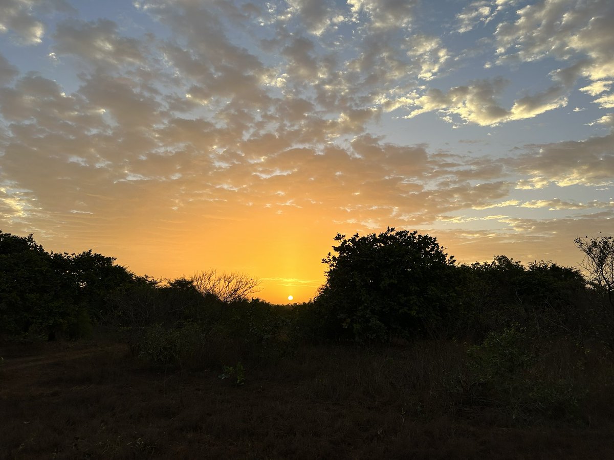 Sunrise in The Gambia just hits different… 🇬🇲