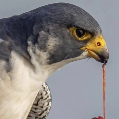 sl3km's tweet photo. #صورة_جديدة_للملف_الشخصي https://t.co/rmqMUR4Mjo