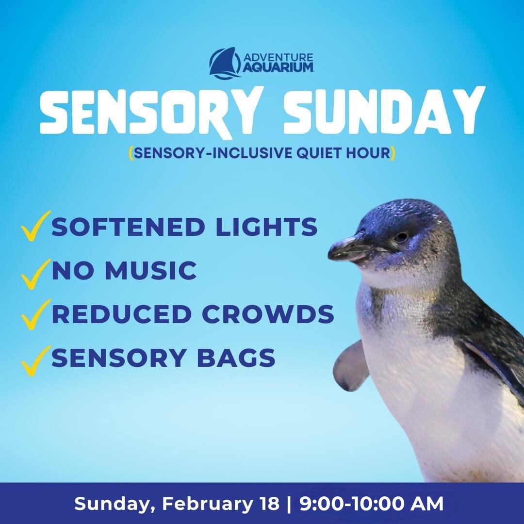 Join us for a sensory-inclusive hour this Sunday, February 18, from 9:00 -10:00 a.m. 

Sensory Sunday offerings include: 

✔️ lower music
✔️ softened lights
✔️ reduced the crowds