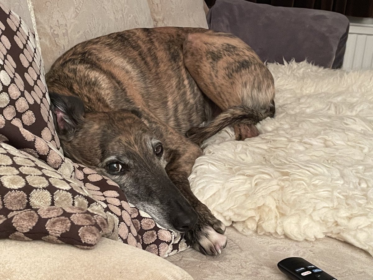 Me and my extra half kilo chilling out and not thinking about parting company any time soon 🥰