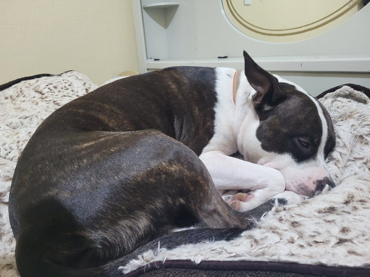 Its been rainy for days and it's cold.