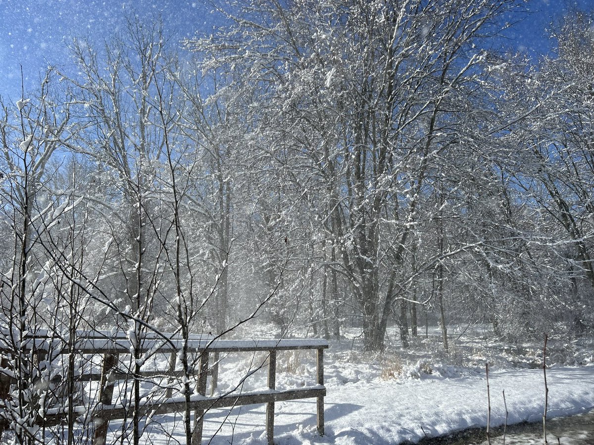 RunningMomma913's tweet photo. Beautiful day for a winter walk around the @McDonoghSchool https://t.co/bSES5QKpTi