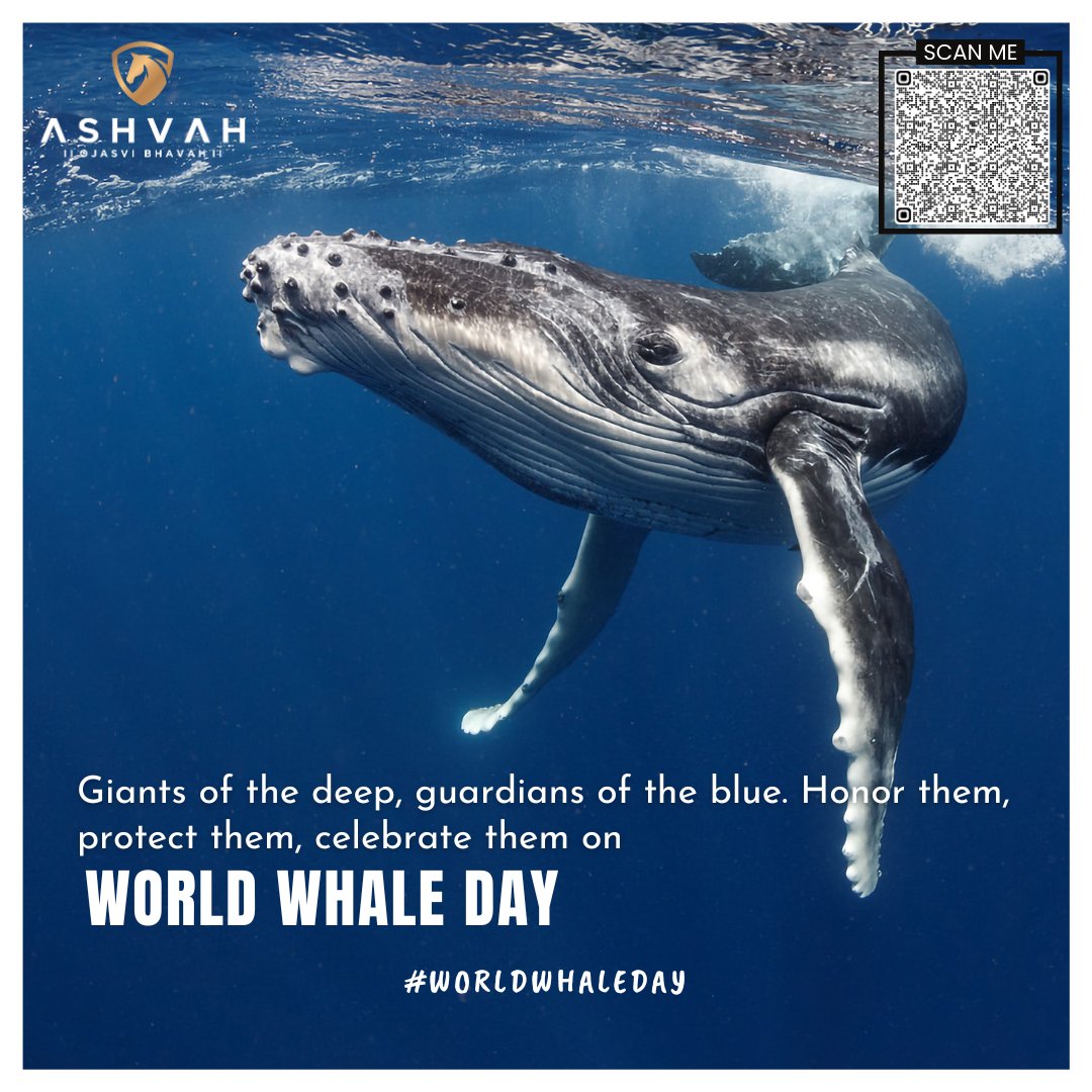 The ocean's song echoes through their calls. Celebrate #WorldWhaleDay and protect these majestic creatures for future generations.
#Ashvah #AshvahHouseOfFabrics
#WorldWhaleDay2024 #SaveTheWhales #ProtectWhales #WhalesNeedUs
#OceanHeroes #OceanConservation #MarineLifeMatters