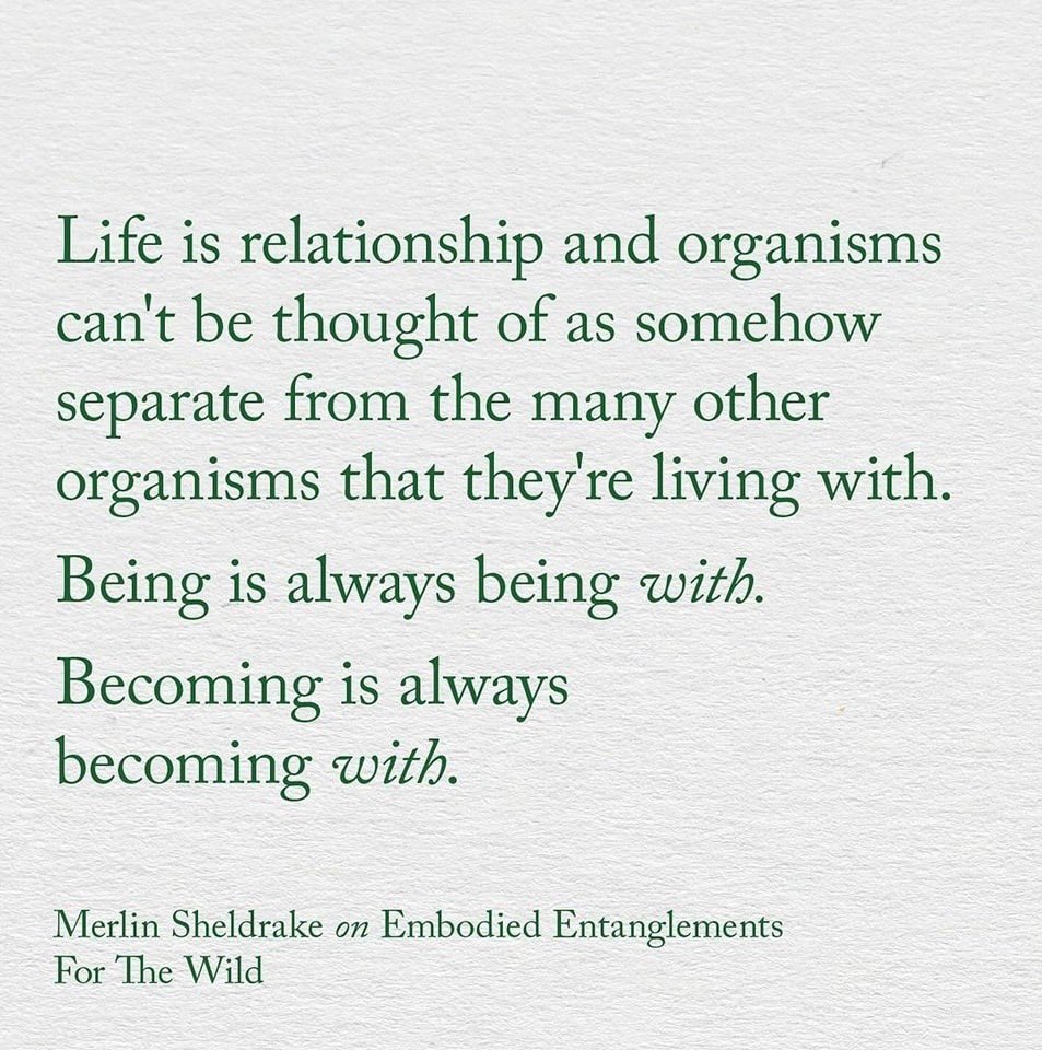 The Forest School principles all directly point towards the development of relationships- self, others, nature, that’s why our practice is with small numbers and over long term. You cant build meaningful relationships in 40 minutes with 30+ people!