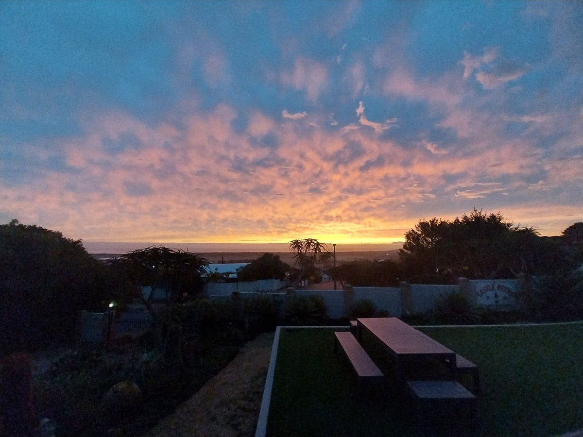 BudgieBarns's tweet photo. https://t.co/s1WykiYXh1