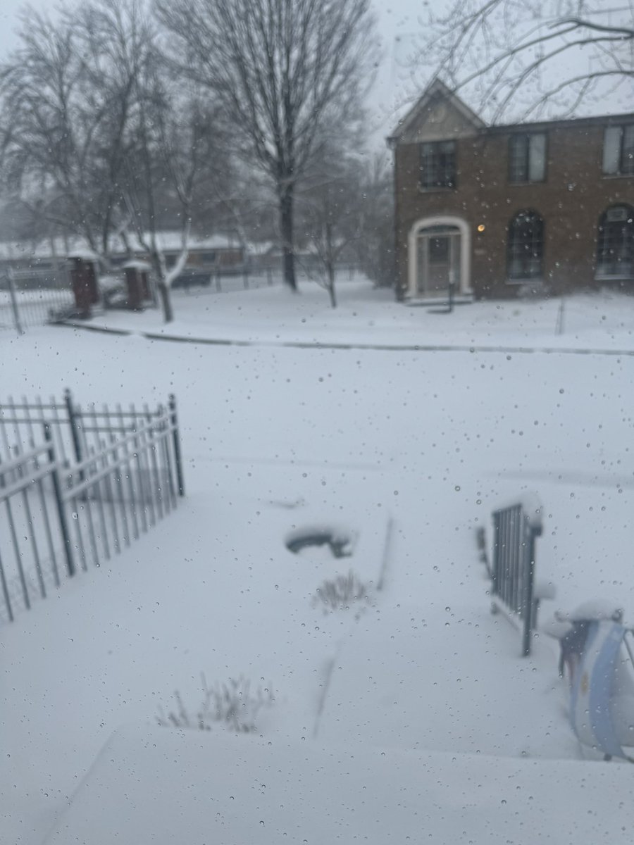 MariaLujanFigue's tweet photo. #sabadoEnTn @todonoticias nos toco tormenta de nieve ❄️pero con su compañía la pasamos genial! Felicidades 🥳 a los cumpleañeros 🎂desde St Louis Missouri USA 🇺🇸 https://t.co/BQR1JxZ5sl