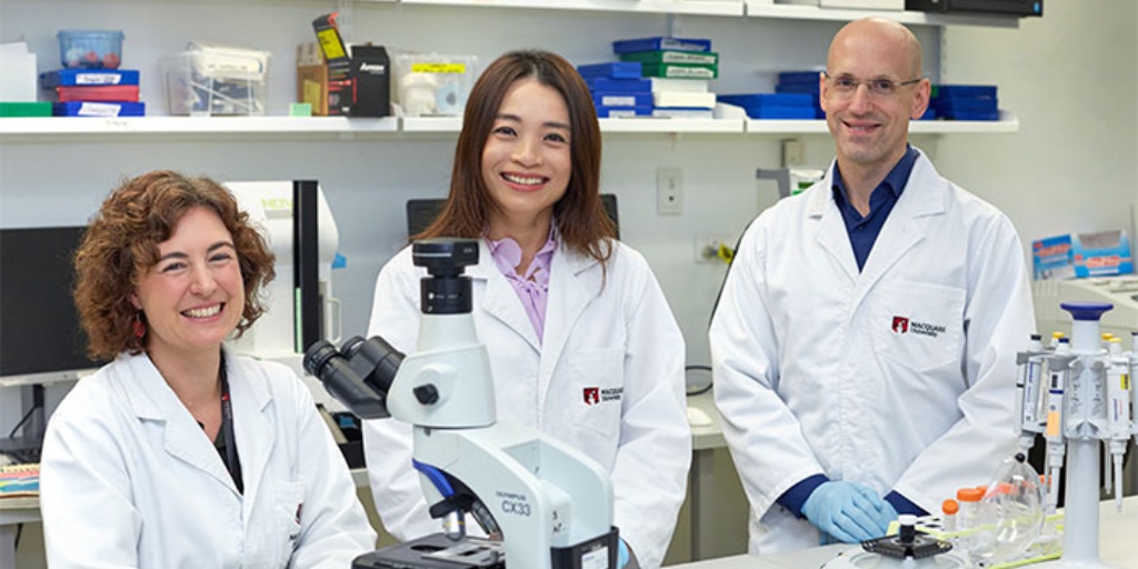 Our neuroscientists have developed a single-dose genetic medicine that has been proven to halt the progression of both motor neurone disease (MND) and frontotemporal dementia (FTD) in mice 

#MacquarieUniversity <a href="/MQ_DRC/">MQ Dementia Research Centre</a>