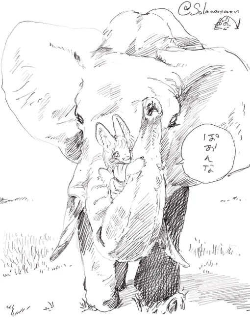 ぞうさんナナチ 