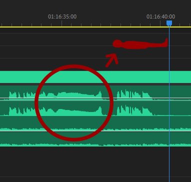 ‼️EDITORS BEWARE‼️

recently I spotted saddam hussein hiding in my premier timeline. be careful with your projects
