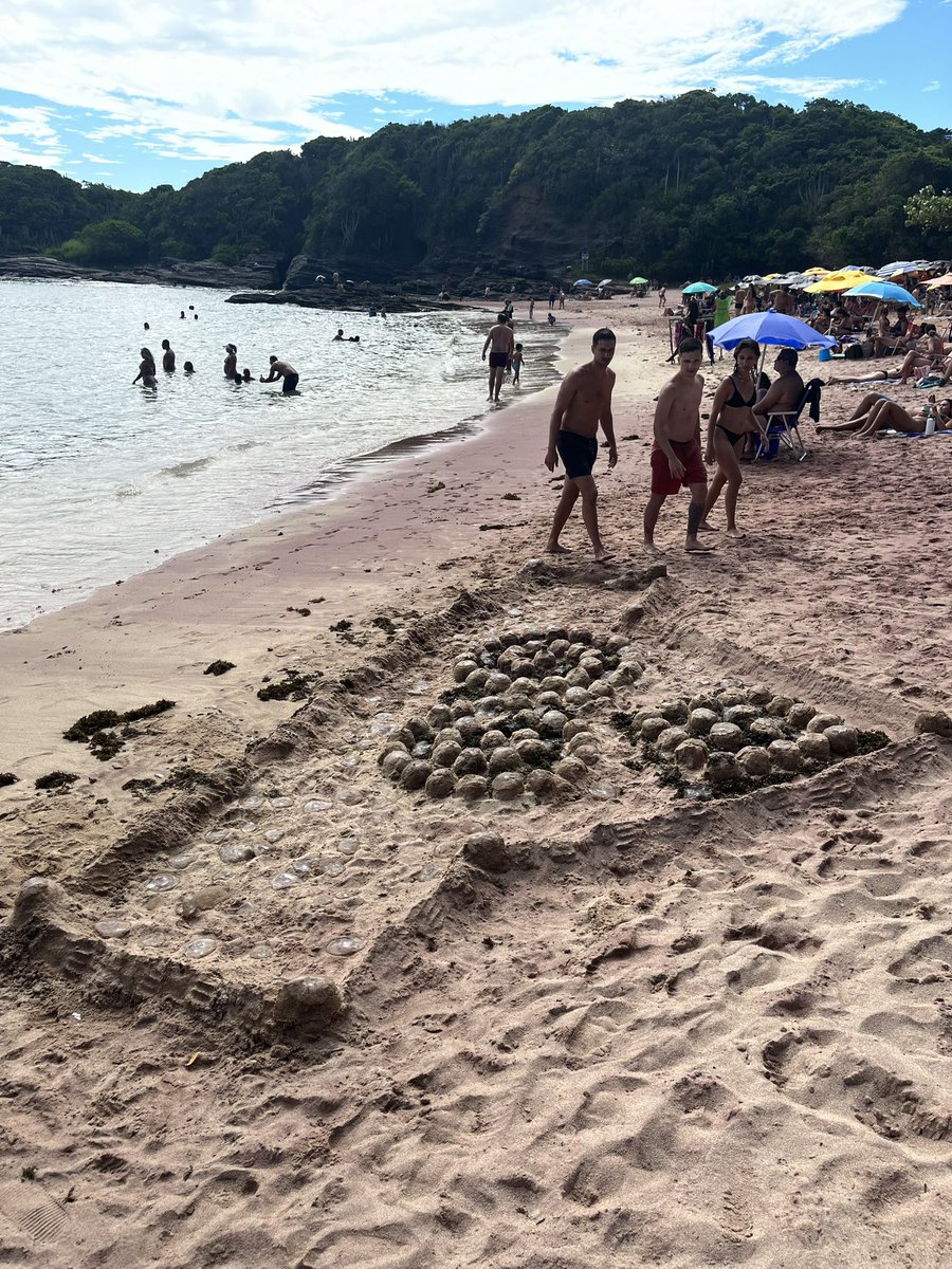 ctsgr20's tweet photo. Yo: que miedo las aguavivas

Los niños menos salvajes de la playa: !!!CeMEnTEriO DE AGuaVIvASsszs👹👹👹 https://t.co/aV0NpEUvEb