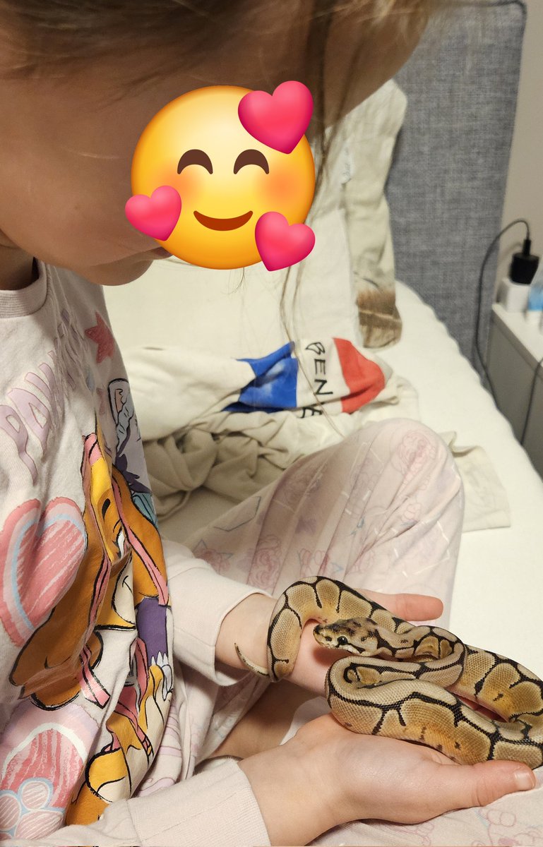 Pianoe82's tweet image. Sorry hoor, is ze weer, maar KIJK DAT SNOETJE NOU!!! 😍😍😍
#Teddy #Koningspython #CrazyReptileLady