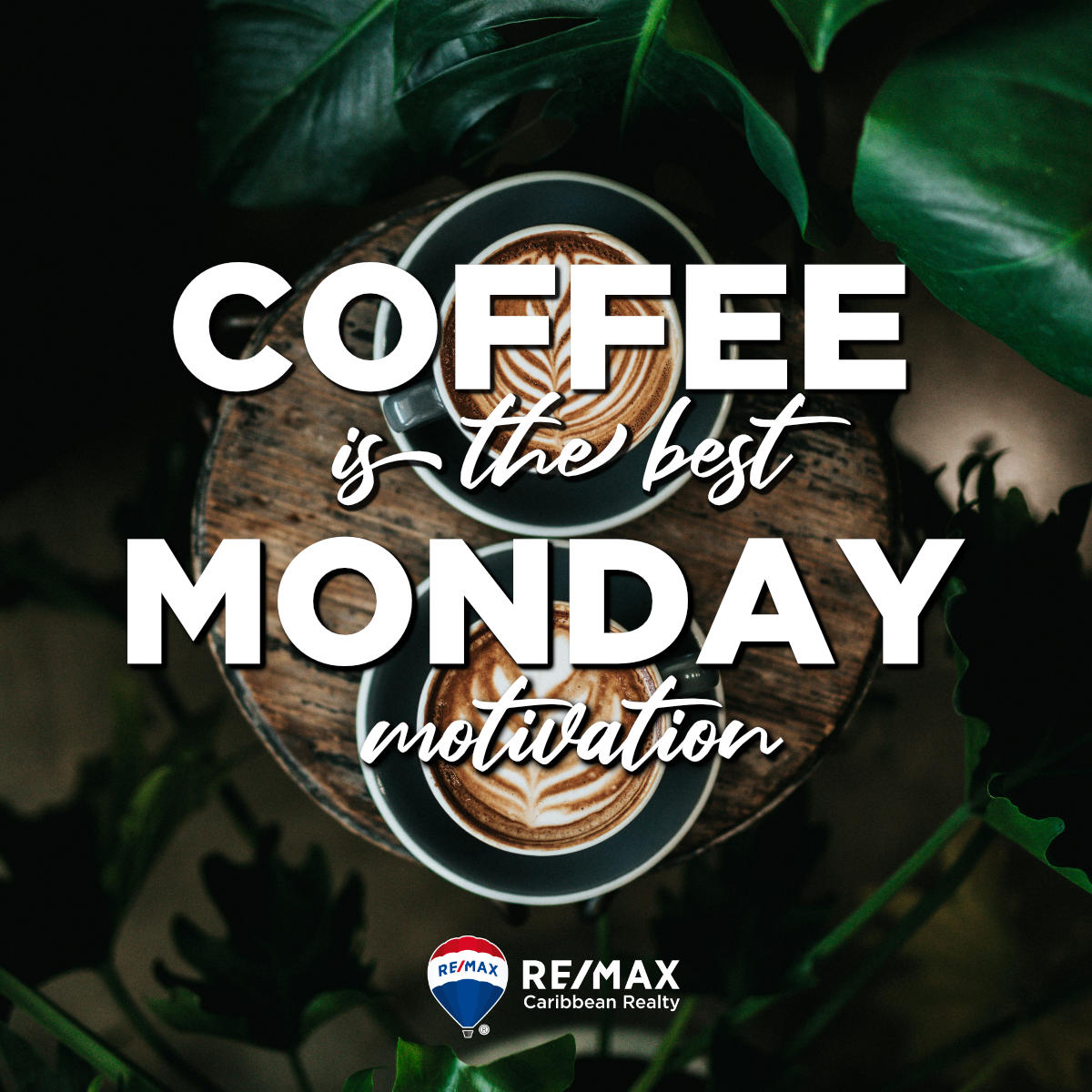 This is your Monday morning reminder that you can handle whatever this week throws at you.

#realestate #motivationalmonday #realtormotivation #remax #playadelcarmen #remaxhustle