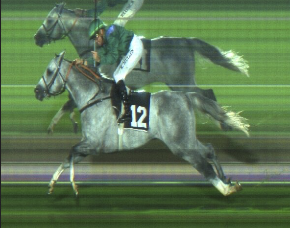 HH The President Cup (Gr1PA)
2200m, Abu Dhabi, UAE
1. RB KINGMAKER (US)
2. Ajrad Athbah (GB)
3. Al Riffa (FR)
Dist: 5.25, nk  Time: 2.23.49