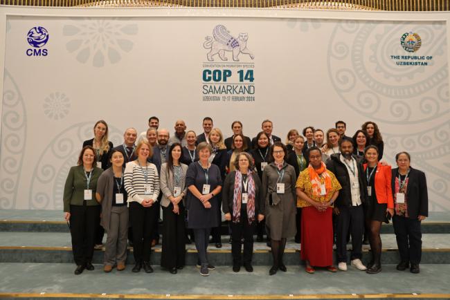 I can't believe we actually did it. 14 Species included in Apppendices, and hot topics like deep sea bed mining giving great lessons on diplomacy. I will forever remember #CMSCOP14 and the happiness of cheering for agreements reached by Latin America from the podium 🐋🇺🇳🌊💙🐆
