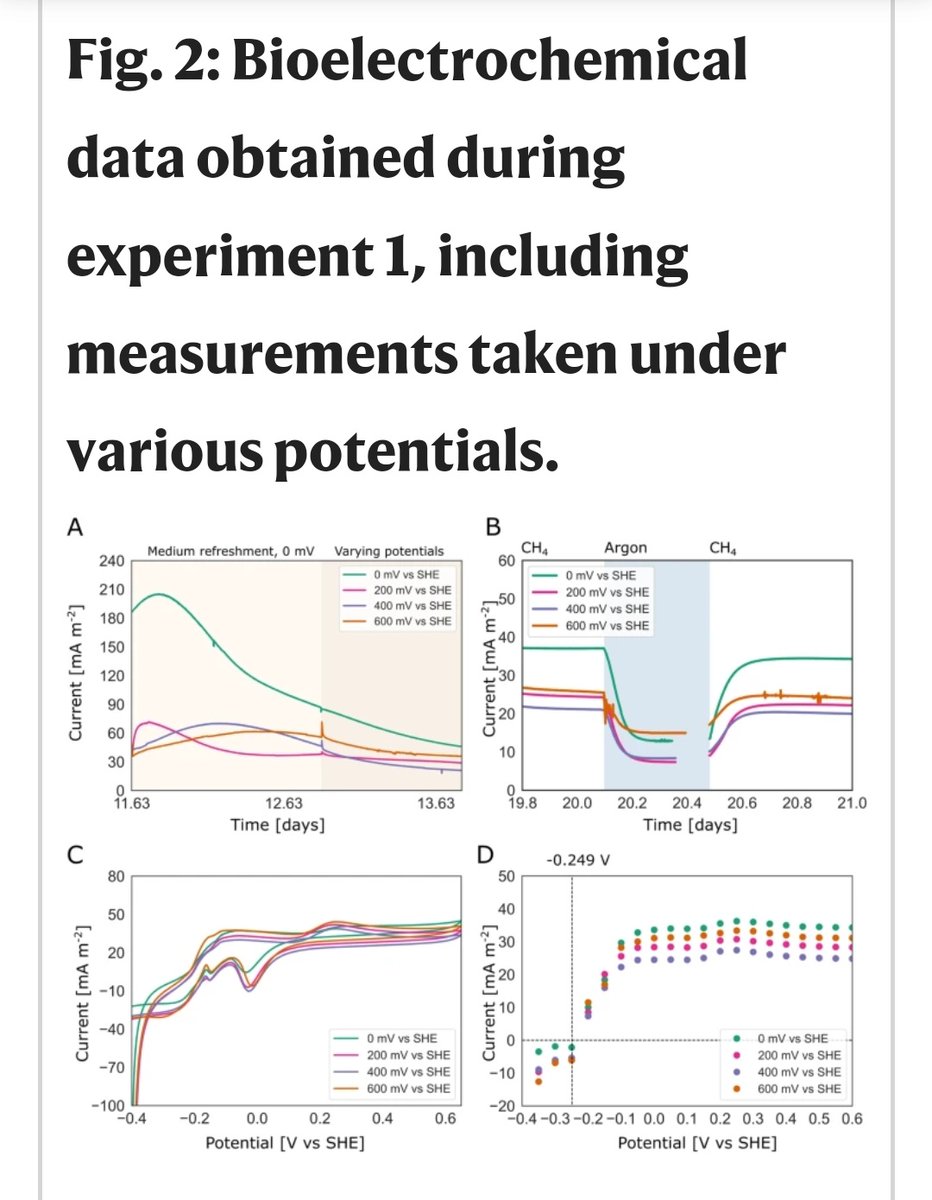 Great to see <a href="/HeleenOuboter/">Heleen Ouboter</a> et al study out: Mechanisms of extracellular electron transfer in anaerobic methanotrophic archaea
#Methanoperedens #methane #microbiology
<a href="/CUWelte/">Cornelia Welte</a> @RIBESresearch <a href="/SIAMmicrobes/">SIAM-microbiology</a>
nature.com/articles/s4146…