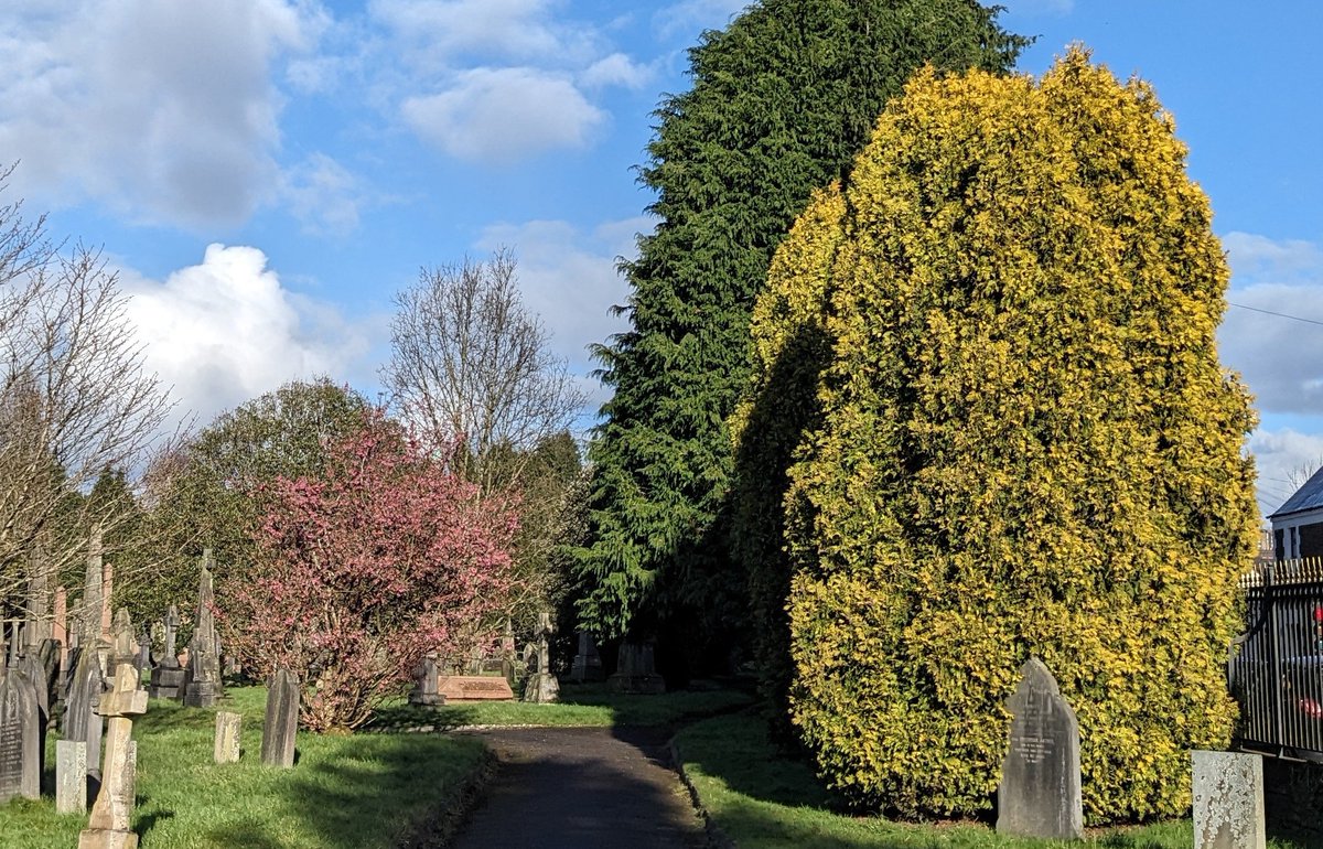 Spring in #Cathays Cemetery
#CardiffParks