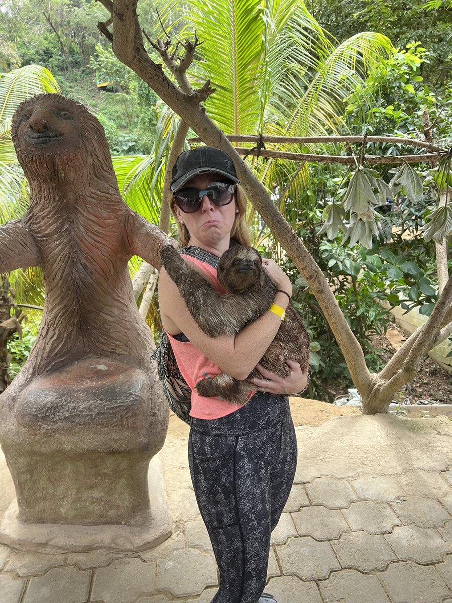 bamconsults's tweet photo. I missed #formalfriday due to no service.
But does #SlothSaturday count in lieu of @elenaspeaking and @AravindSitham ? https://t.co/CJQpnc2ZW6