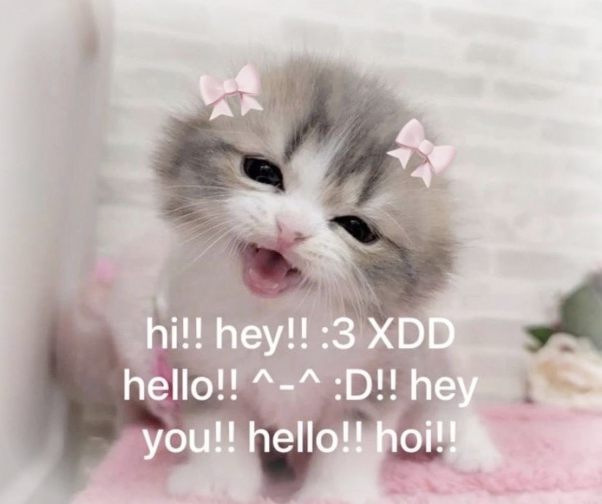 nekomimiyu's tweet photo. https://t.co/8ERlnIghzK