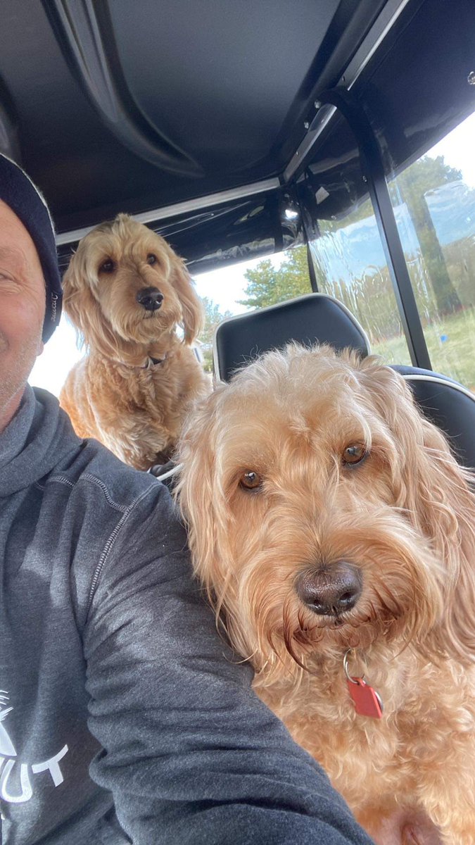 chaddwill's tweet image. Beautiful day for dormant seeding!Snow makes even spreading a piece of cake &amp;amp; 2nd best time of year to seed. This is part of my secret recipe, keeping up with 2 doodles.❤️ #dogpatch #treatedseed #greenallianceultra #earthworks #freezethawcycle #springgreen