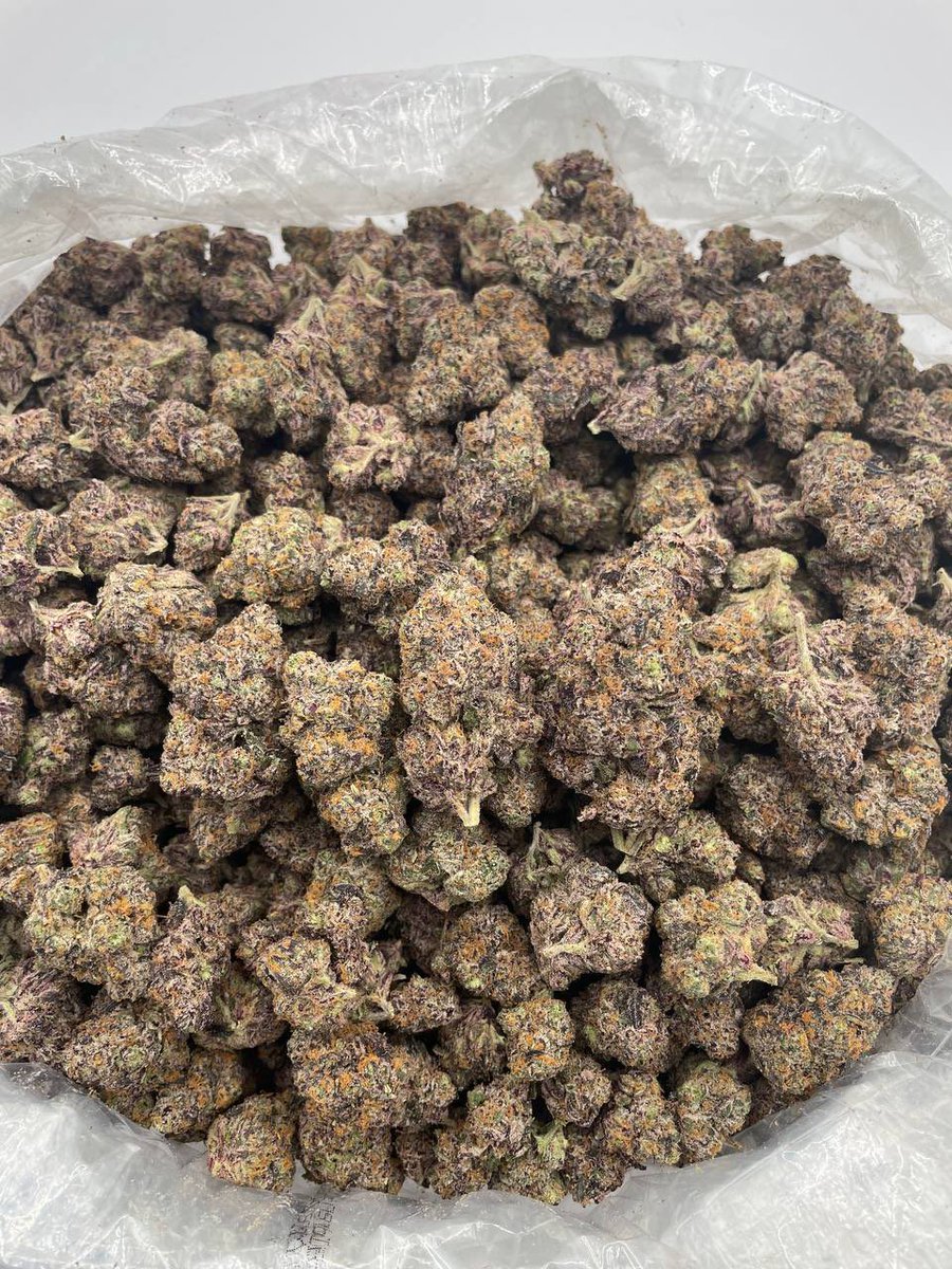 Zootiez 🥵