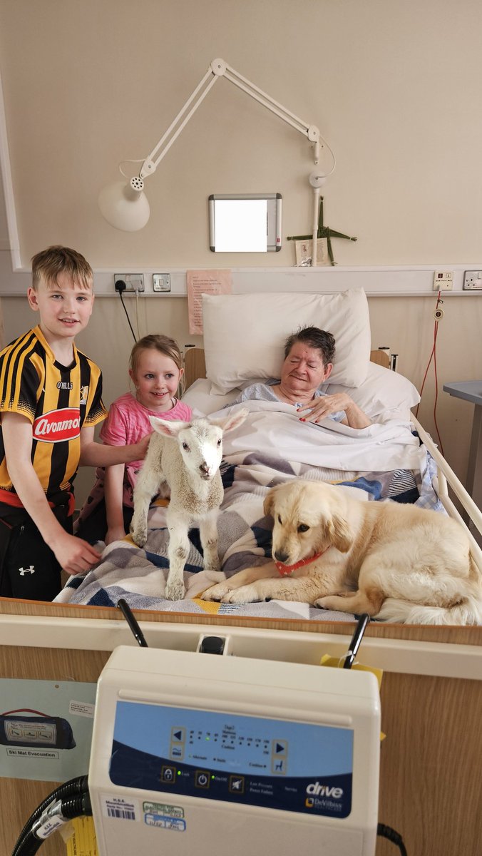 SMountmellick's tweet photo. Full on the joys of spring. Our residents @SMountmellick were thrilled to be able to pet &amp; hold three pet lambs &amp; "Missy" the pup. We must say the pet animals won all our hearts,residents &amp; the team alike. Thanks,Anna &amp; Jamie, for spending the afternoon sharing your pets with us. https://t.co/mhIg5WlQtb