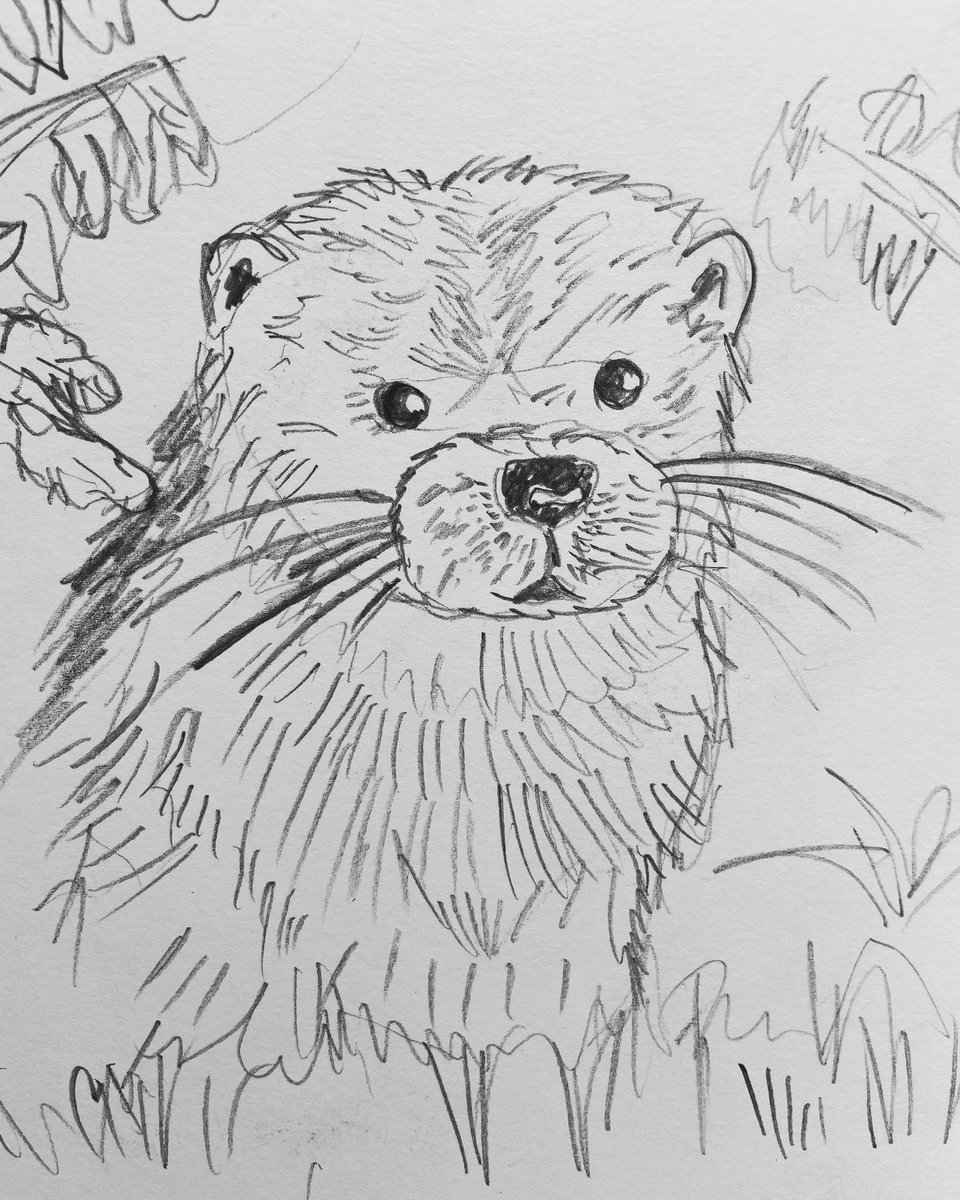 I drew this for a student bc she did all her tasks. Some people think I only draw cartoons.
#drawingartwork #illustration #sketchbookart #otters #reallifedrawing #comics #comicart #comicbookart #draweveryday #makingarteveryday #lovewhatyoudo