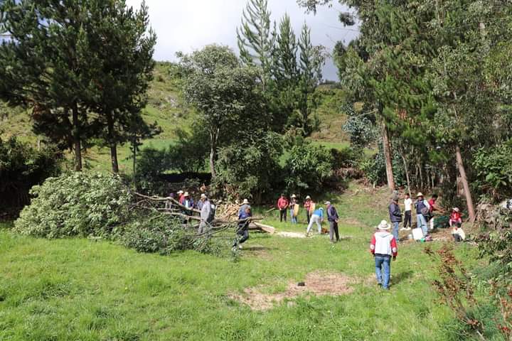 ndancash's tweet photo. Con el tradicional sombrero Lapi Tsucu y  al compás de la  caja y pincullo, ejecutado por los  hermanos Príncipe, se inició el traslado del árbol para la puesta del huachihualito para la yunzada, en el centro poblado de Ampas, distrito de Huari. https://t.co/W3ucxxiPsp