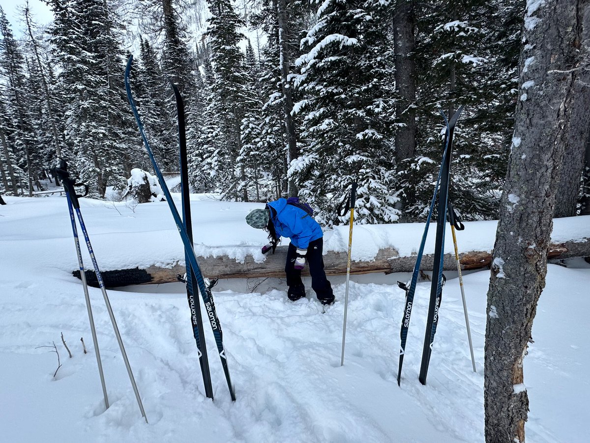 melkalischuk's tweet photo. Made it to our destination- Wall Lake, Akamina Pass ❄️🗻🌨️⛄️
 (AB, BC, and US meet) https://t.co/W234VJPjz0