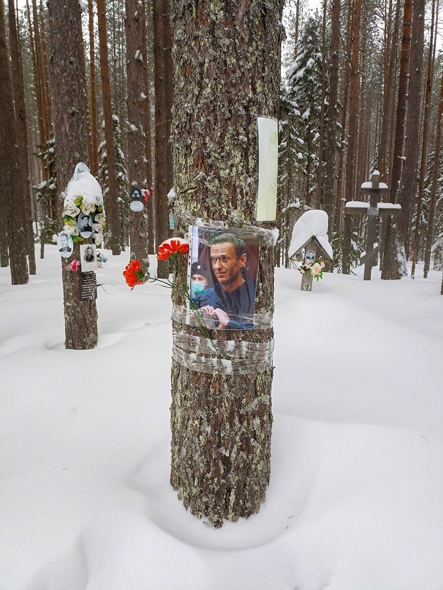 A photo of Navalny has been taped to a tree at Sandarmokh, the site in northwest Russia where thousands of victims of Stalin's Great Terror were buried in mass graves. Photo via t.me/Govorit_NeMosk…