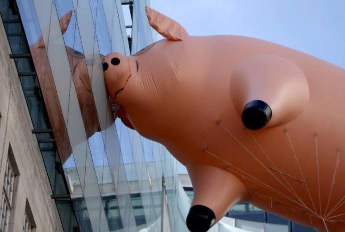 wieder entsperrter joners tweet media