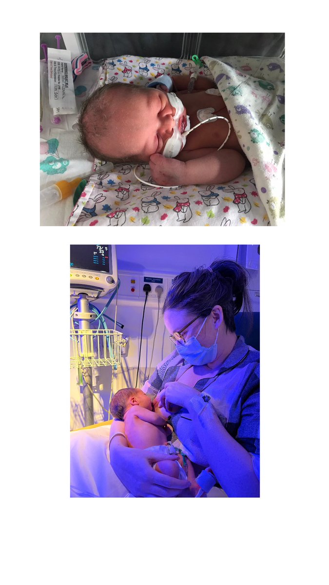 Breastival tweet media