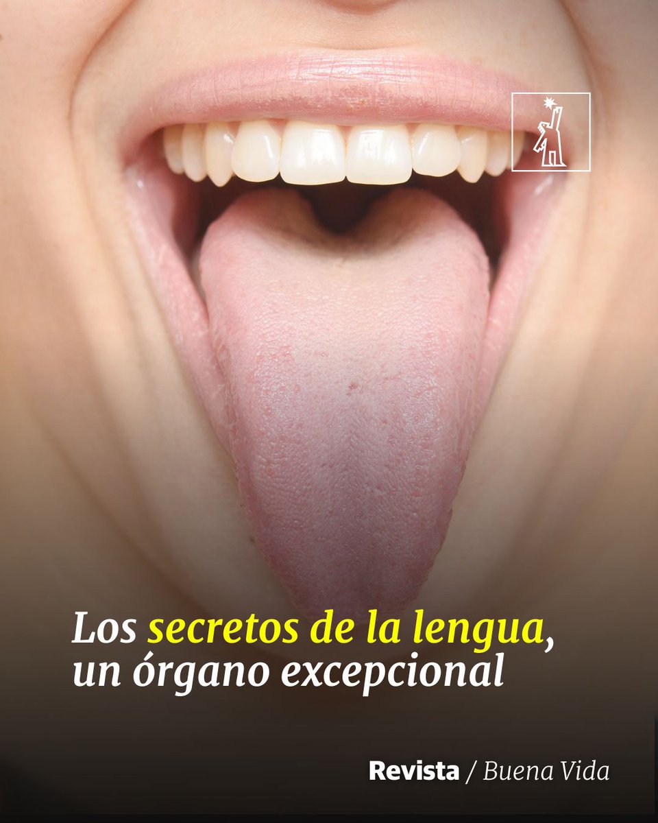 DiarioLibre's tweet image. 🍽|#BuenaVidaDL| Este órgano es fuente de innumerables experiencias sensoriales y culinarias

🔗 ow.ly/y2Qi50QEwEt

#DiarioLibre #Lengua #Organos #RevistaDL