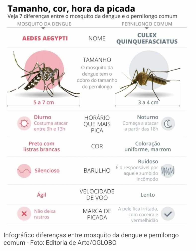 How to distinguish Aedes aegypti and Culex quinquefasciatus (in Portuguese) - Como distinguir o mosquito de Dengue de o mosquito “pernilongo” (no Globo)