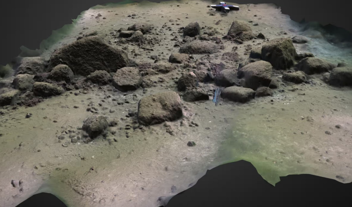 PNASNews tweet media