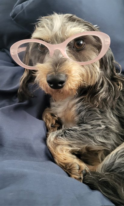 She looks good in mommy's glasses 😁🥰 https://t.co/vVEEAsKMXU
