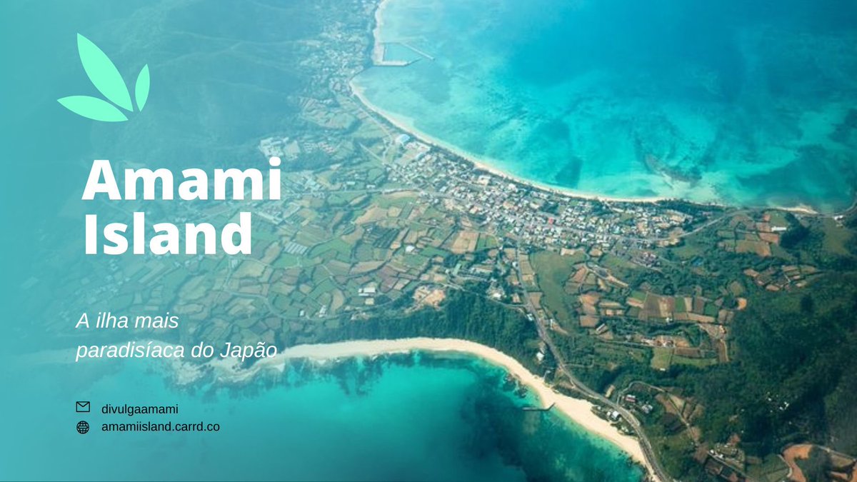 ⠀⠀⠀⠀⠀ ⠀⠀

⠀⠀⠀⠀⠀ ⋇⠀⠀ amamisland.carrd.co
⠀⠀⠀⠀⠀ ⠀⠀