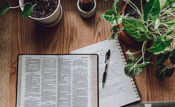 AletheiaWord's tweet photo. "Study and be eager and do your utmost to present yourself to God approved (tested by trial), a workman who has no cause to be ashamed, correctly analyzing and accurately dividing [rightly handling and skillfully teaching] the Word of Truth." (AMP)
2 Timothy 2:15 https://t.co/kNwsFzhaPc