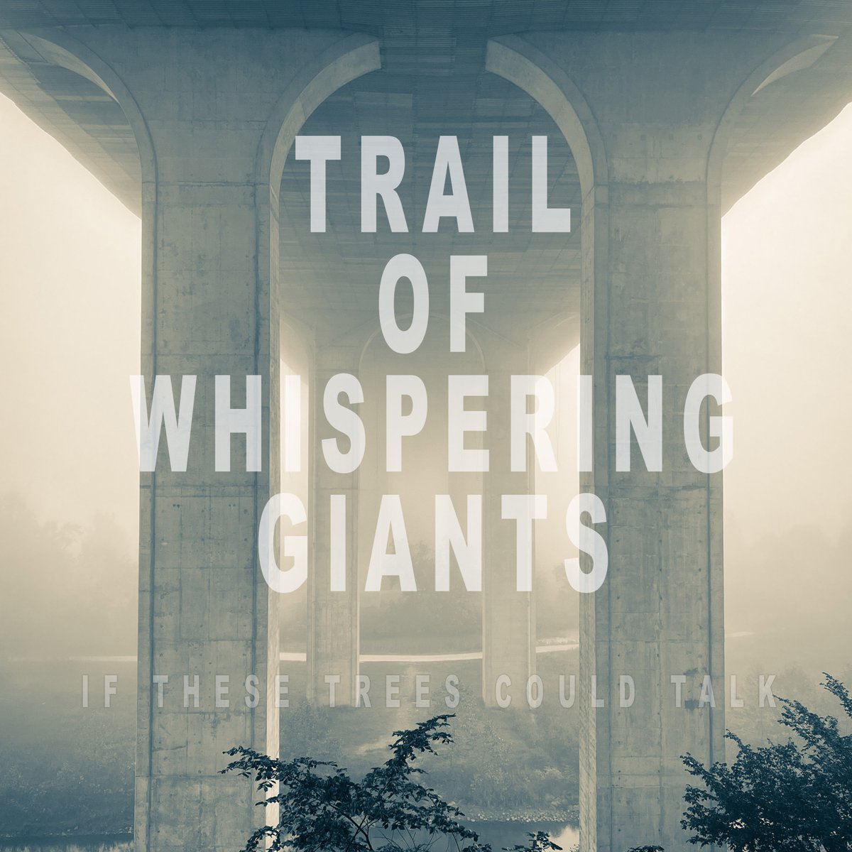 BBeat105's tweet photo. If These Trees Could Talk – Trail Of Whispering Giants
#IfTheseTreesCouldTalk
#StayBlast
#BlastBeat105 https://t.co/vPbBO1pLfe