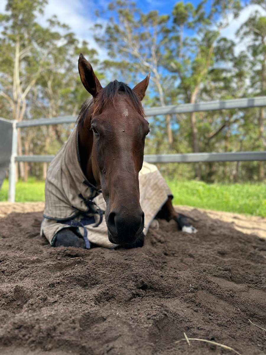 No Sunday Blues here at Jamie Stewart Racing. The team is just enjoying life.