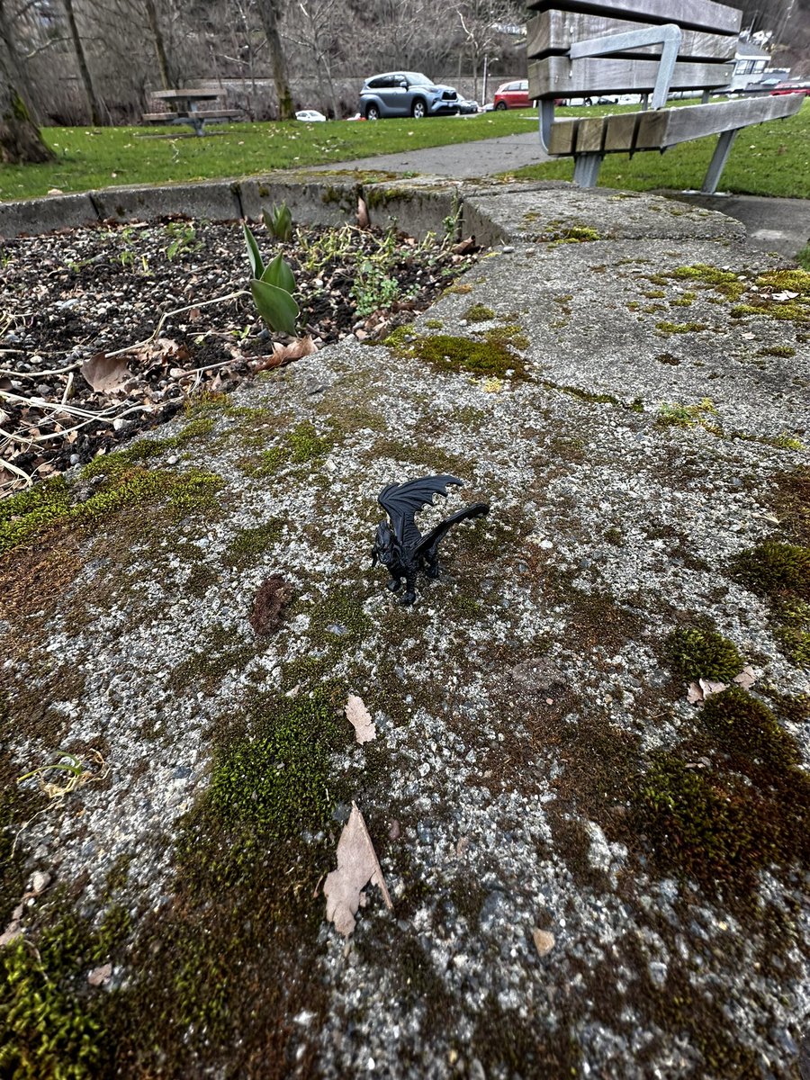 ANIME_monkey_2 tweet media