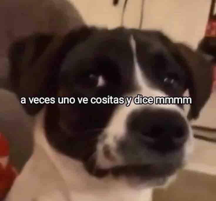 Guarromantico_'s tweet photo. https://t.co/bQb8WDIB87