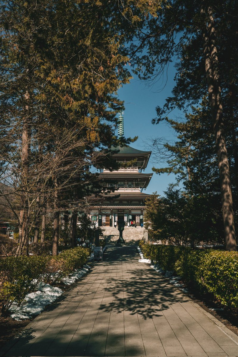 coraySKATE's tweet photo. @instagram is only showing my photos to 20 people at the moment. So let's see if X does any better.

Enjoy a few photos from my first week.

📷: @SonyAlpha a7iii
📍: #Nagano / #ZenkojiTemple / #SnowmonkeyPark

#NaturePhotography
#wildlifephotography 
#landscapephotography 
#Japan https://t.co/Lhc8zsUBow