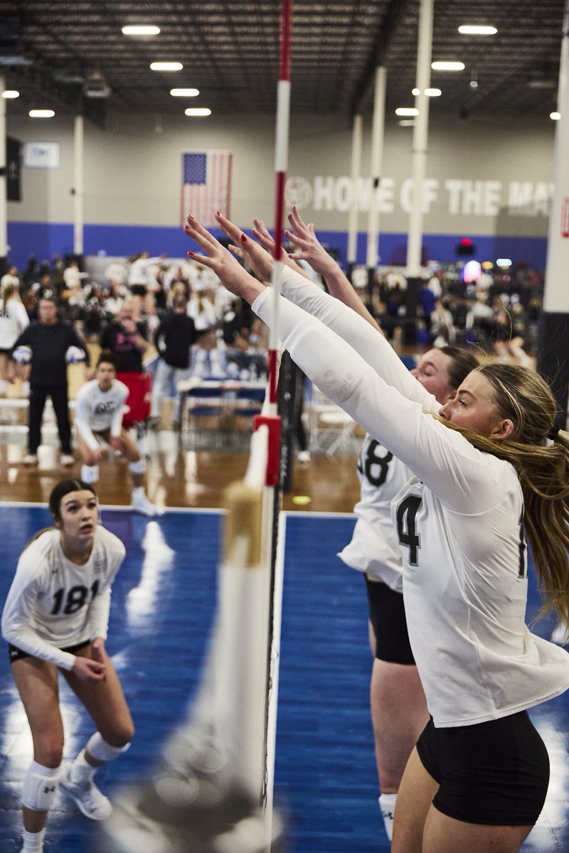 AllAmericaVB tweet media