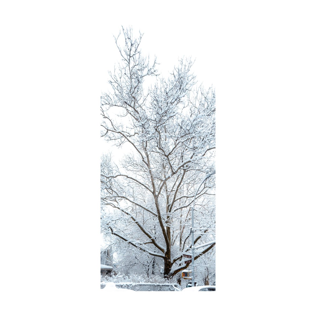 mparkin2's tweet image. Snowy Brooklyn morning