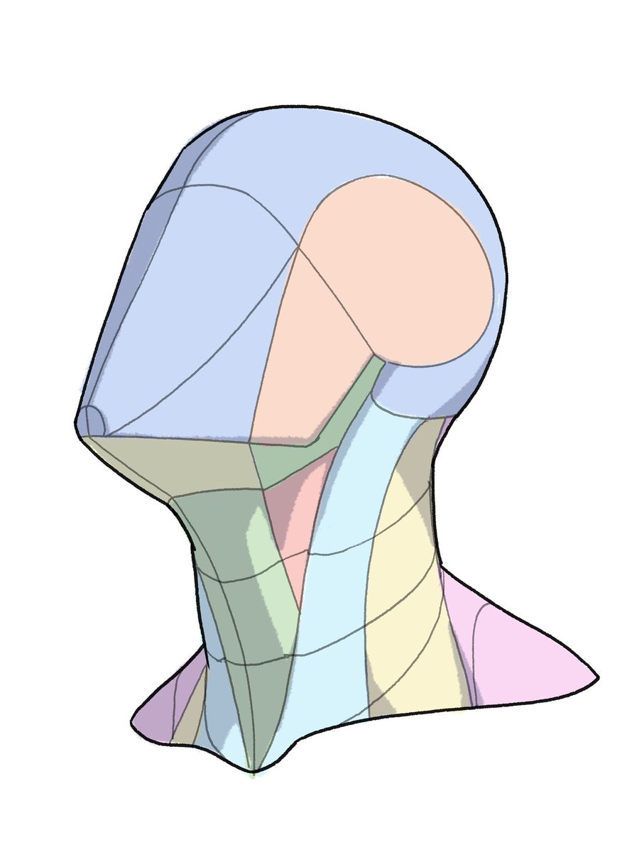 kato_anatomy's tweet photo. wip https://t.co/1U3whv1cOL