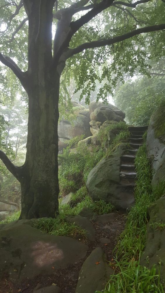 gmeposhpug's tweet photo. "There is a wilderness we walk alone
However well-companioned"
~Stephen Vincent Benét
#pugquotes #solitude https://t.co/QJmXSIGYg0